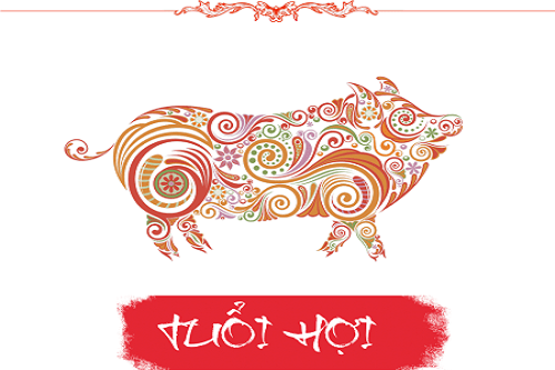 tuổi quý hợi đeo nhẫn ngón nào