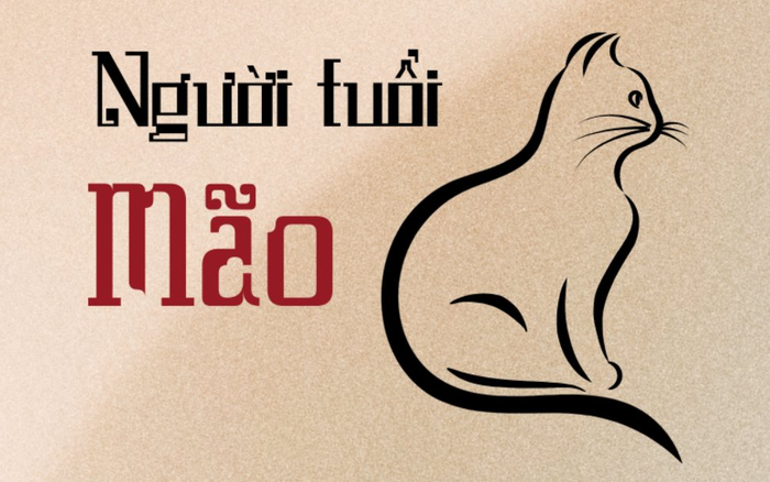 vị trí đeo nhẫn phong thủy