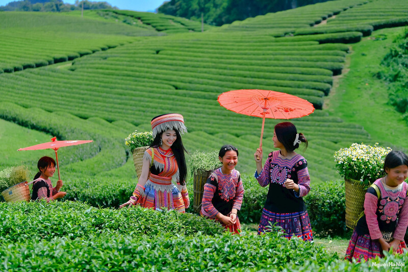 các địa điểm nổi tiếng ở việt nam