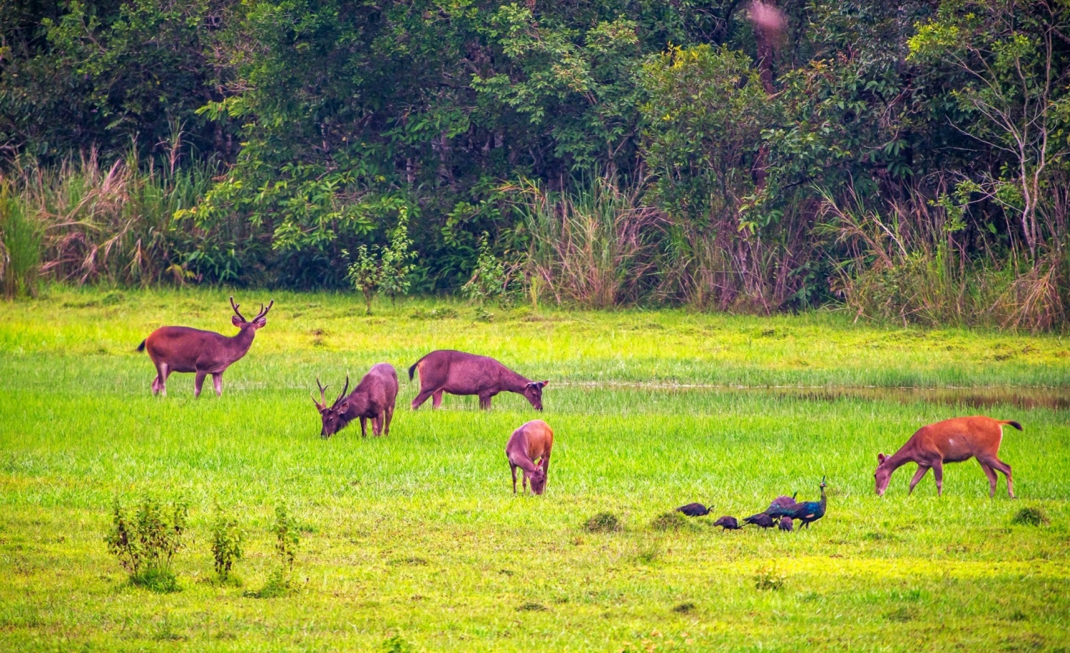địa điểm du lịch việt nam nổi tiếng