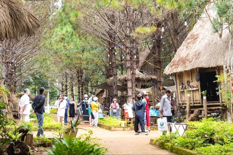 địa điểm đẹp nhất việt nam
