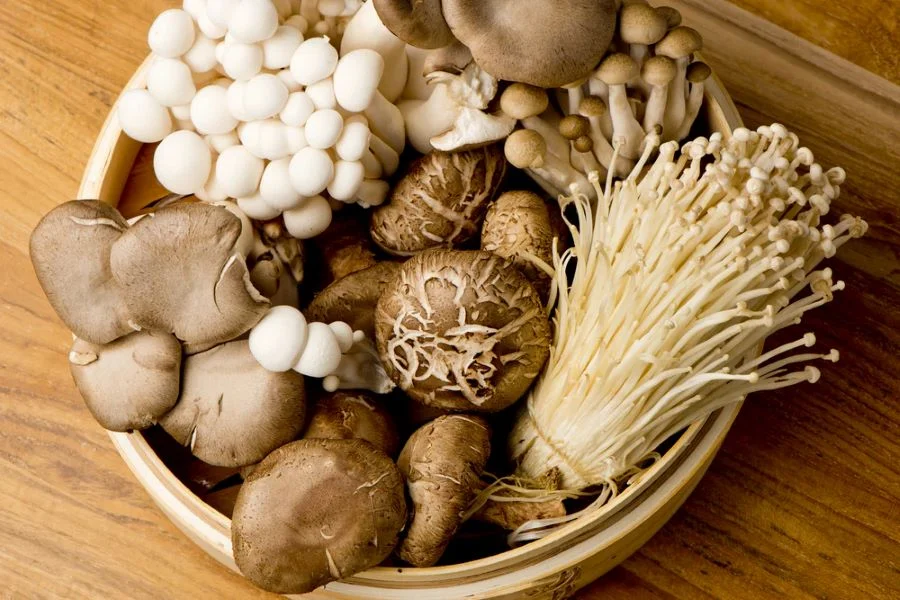 các món chay dễ làm