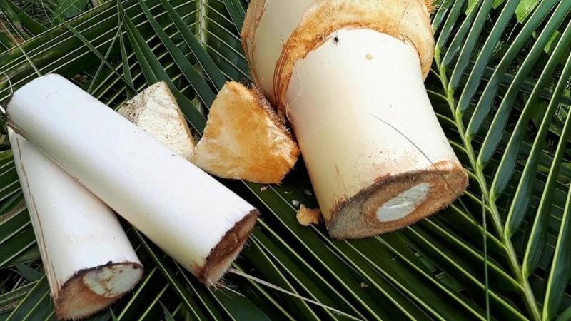 những món chay ngon