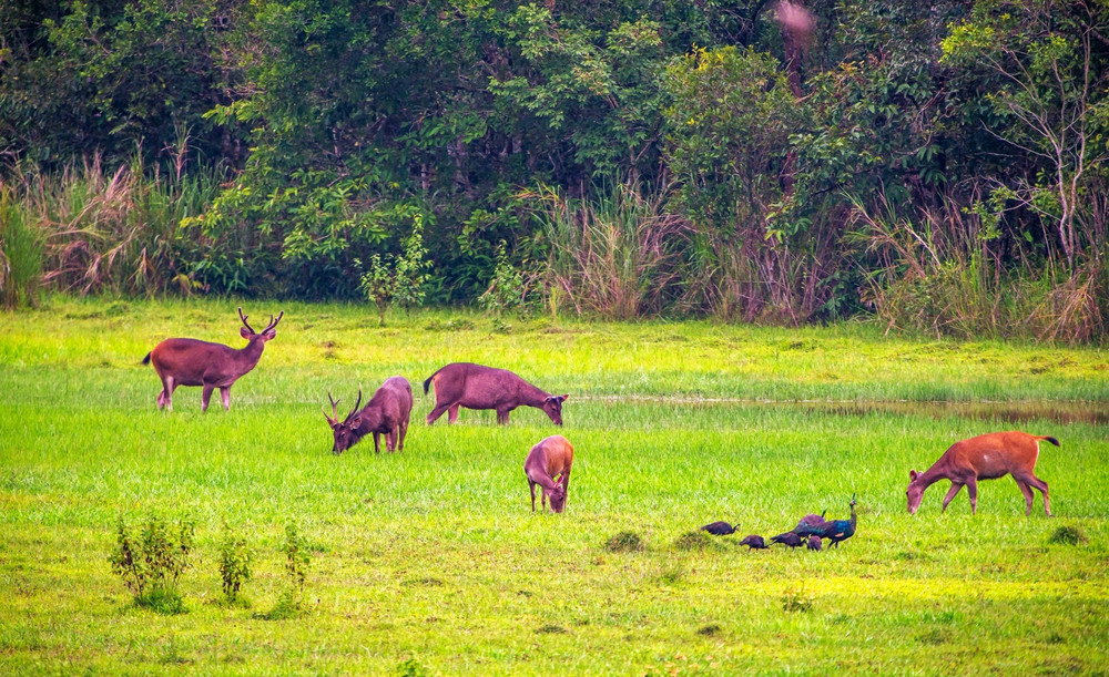 10 dia diem du lich noi tieng nhat viet nam