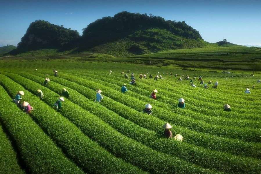 điểm du lịch đáng đi nhất việt nam