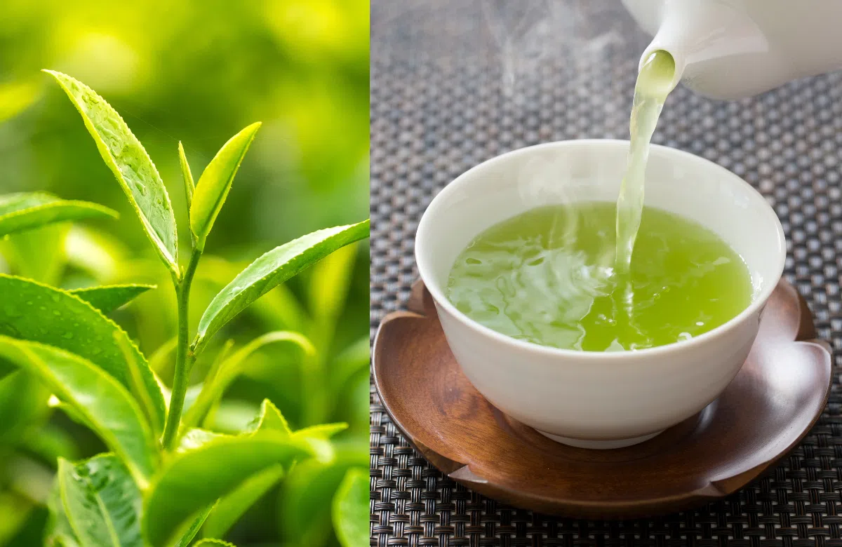 uống gì để da mịn màng