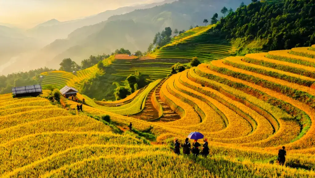 địa điểm du lịch nổi tiếng việt nam