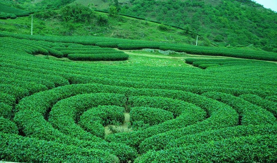 địa điểm du lịch đẹp ở việt nam