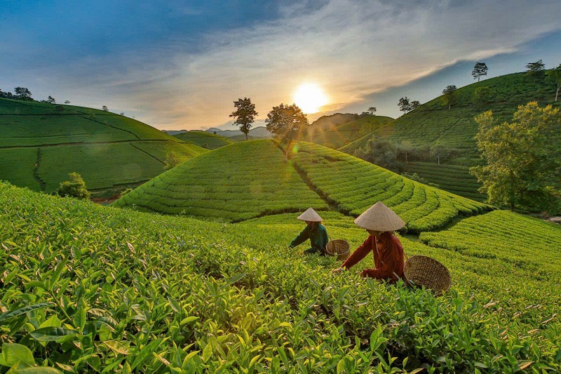 địa điểm du lịch đẹp việt nam