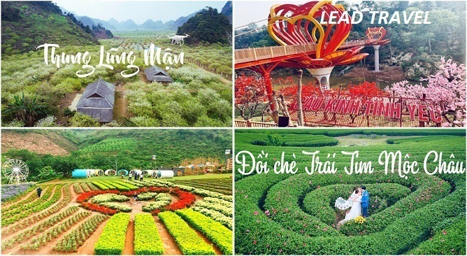 địa điểm thu hút khách du lịch ở việt nam