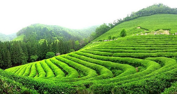 điểm du lịch hấp dẫn Việt Nam