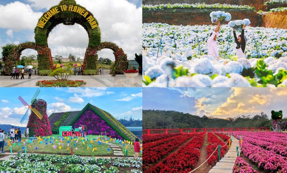 địa điểm hẹn hò đẹp ở Việt Nam