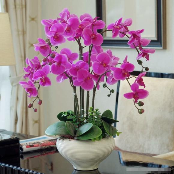 vật phẩm phong thủy