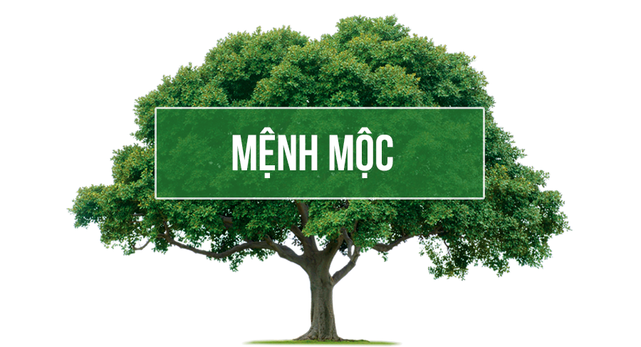 màu mệnh mộc