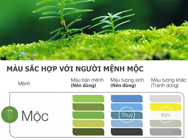 màu sắc hợp mệnh mộc