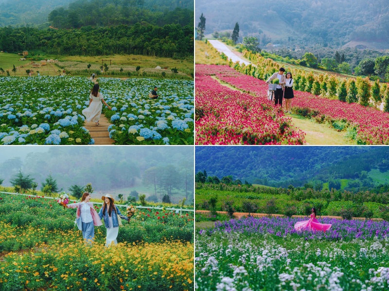 các địa danh ở việt nam