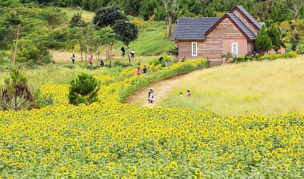 hình ảnh các địa điểm du lịch việt nam