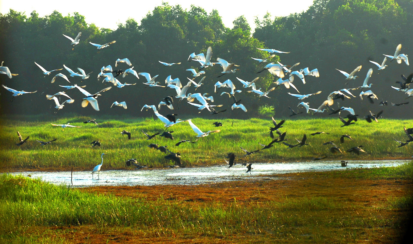 các địa danh nổi tiếng ở việt nam