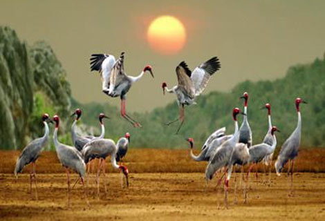 các địa điểm du lịch nổi tiếng ở việt nam