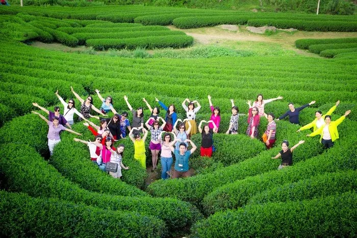 giới thiệu các địa điểm du lịch ở việt nam