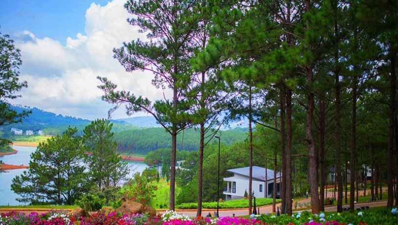 các địa điểm du lịch việt nam