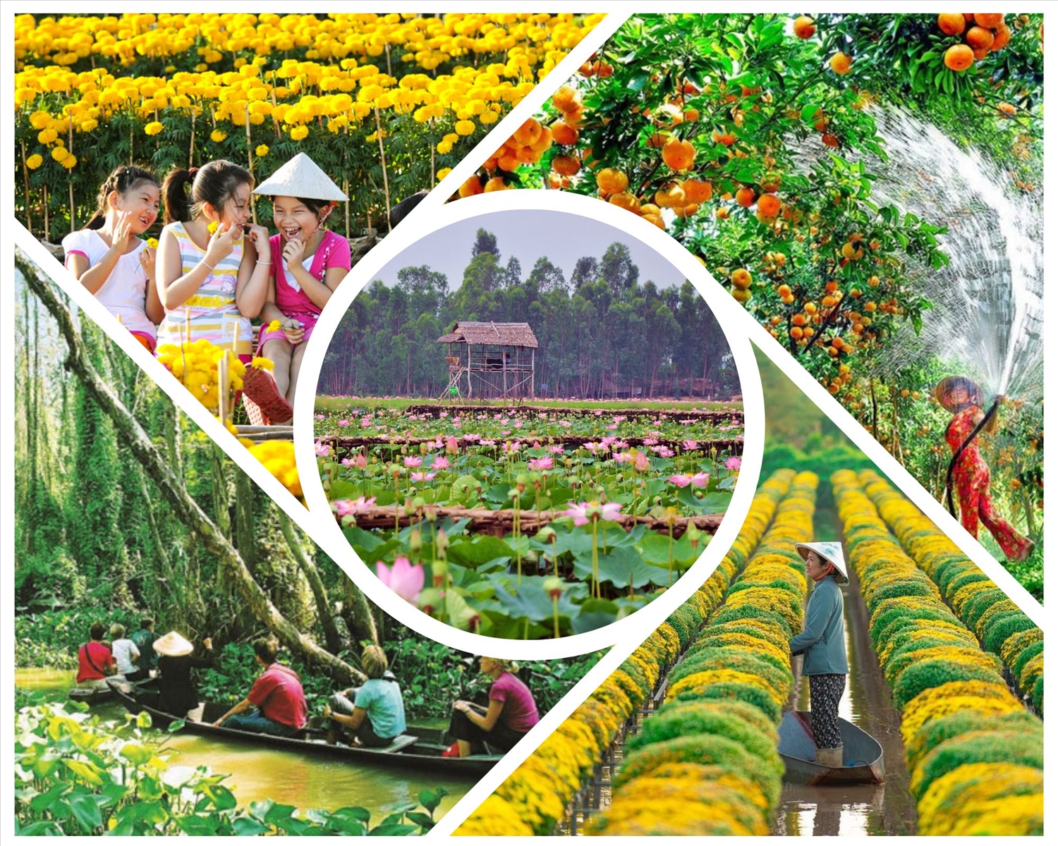 các địa điểm du lịch nổi tiếng ở việt nam