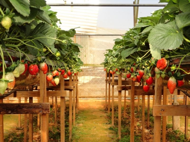 các địa điểm du lịch ở việt nam