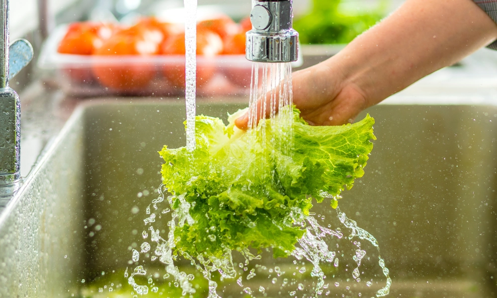 món chay mỗi ngày