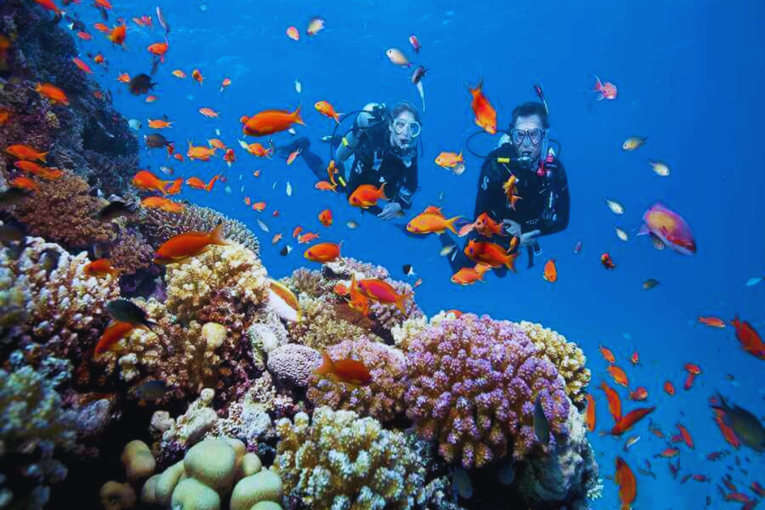 cac dia diem du lich viet nam