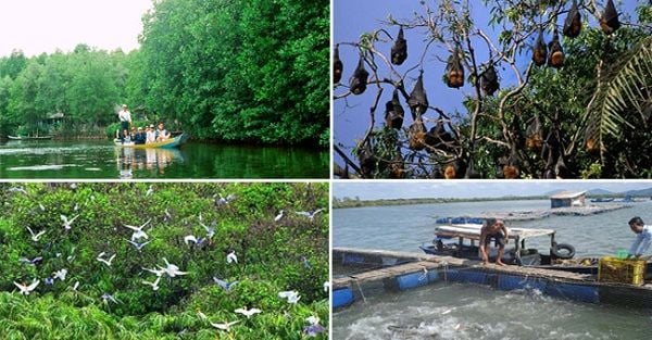 10 địa điểm du lịch nổi tiếng ở việt nam