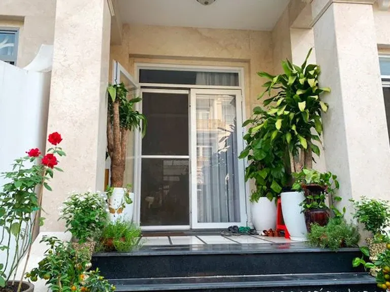 các loại cây phong thuỷ