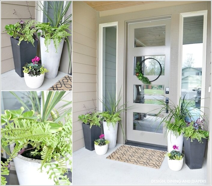 chậu cây cảnh trước cửa nhà