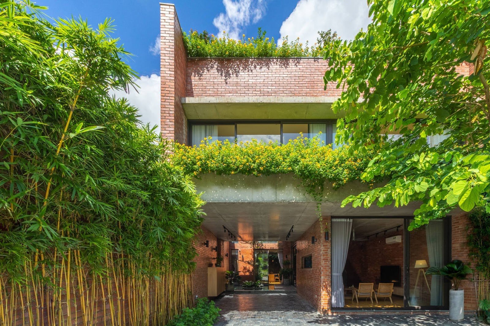 cây phong thuỷ trồng trước nhà