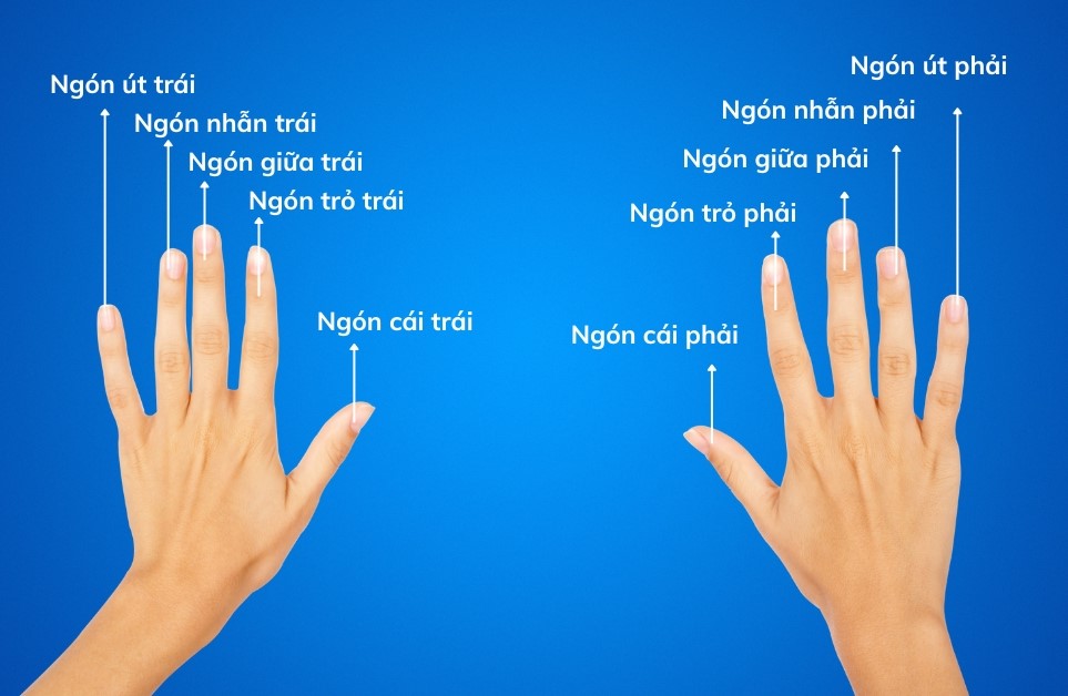 ý nghĩa các ngón tay đeo nhẫn theo phong thuy