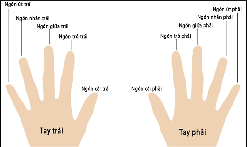 đeo nhẫn chiêu tài lộc