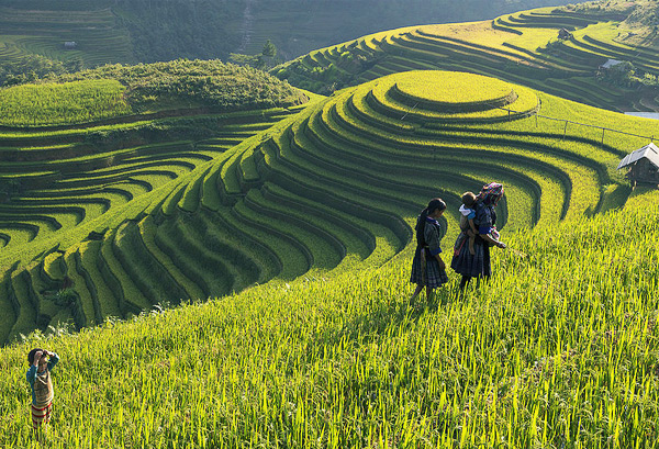 địa điểm du lịch biển việt nam