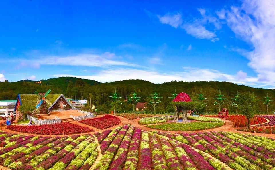 những địa điểm du lịch lý tưởng ở việt nam