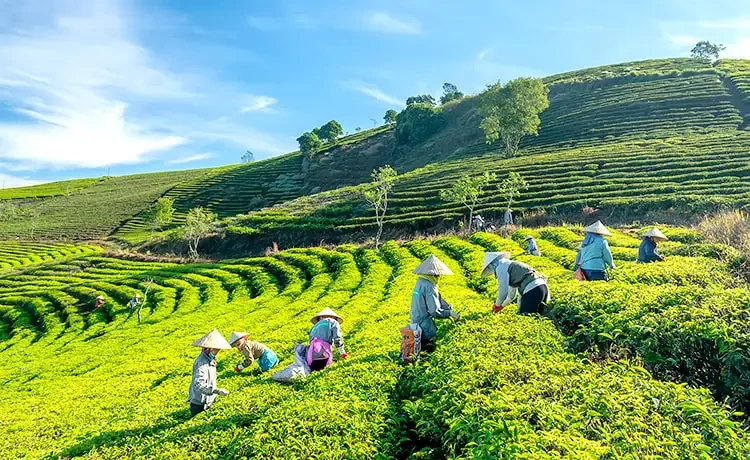 các địa điểm nổi tiếng ở việt nam