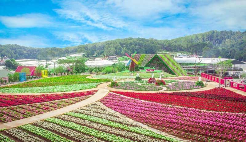các địa điểm du lịch nổi tiếng ở việt nam