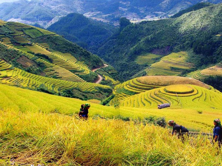 các điểm du lịch mùa hè ở việt nam