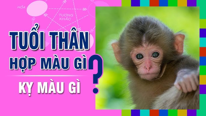 coi màu phong thủy