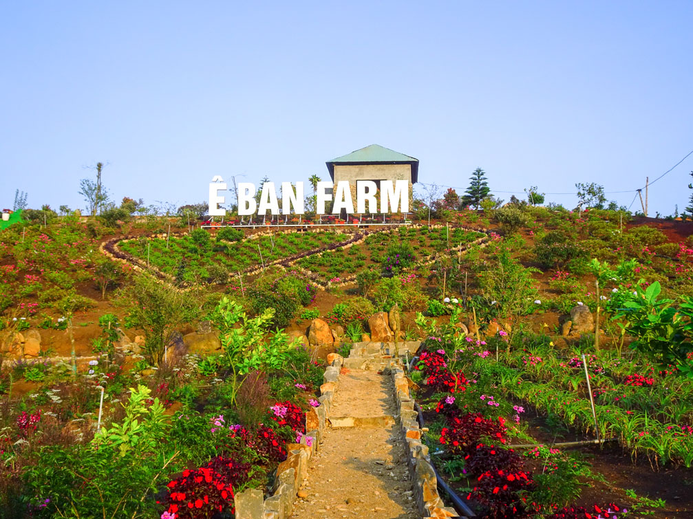 những địa điểm du lịch nên đi ở việt nam