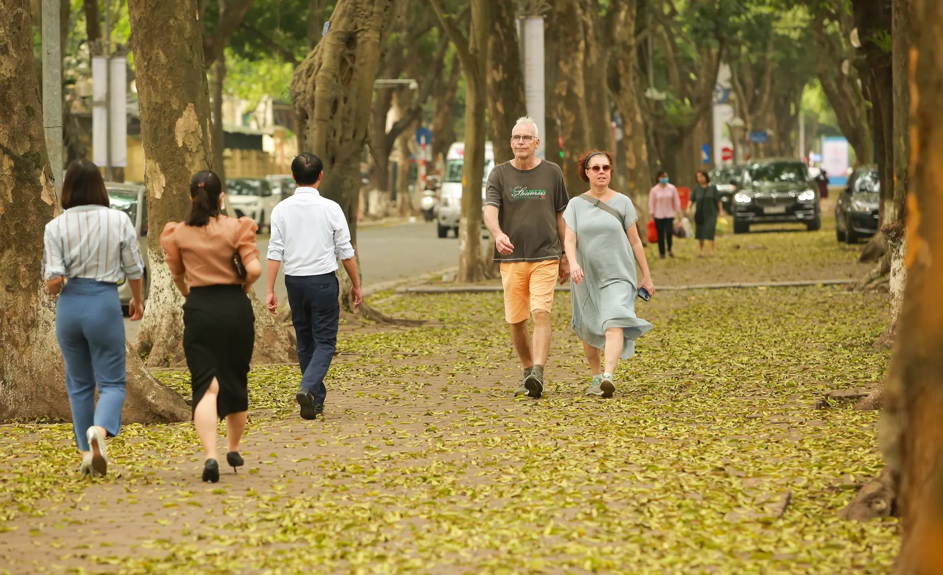 địa điểm du lịch viet nam