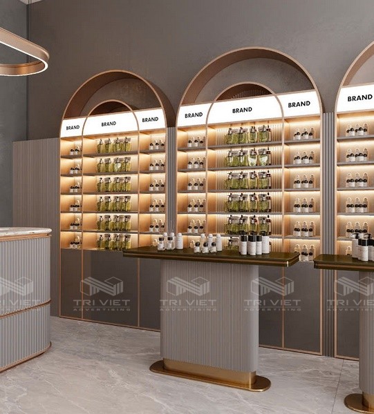 các mẫu thiết kế nội thất showroom