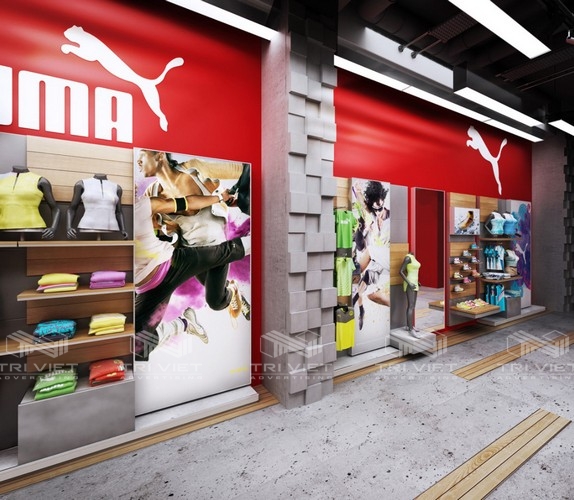 thi công thiết kế nội thất showroom