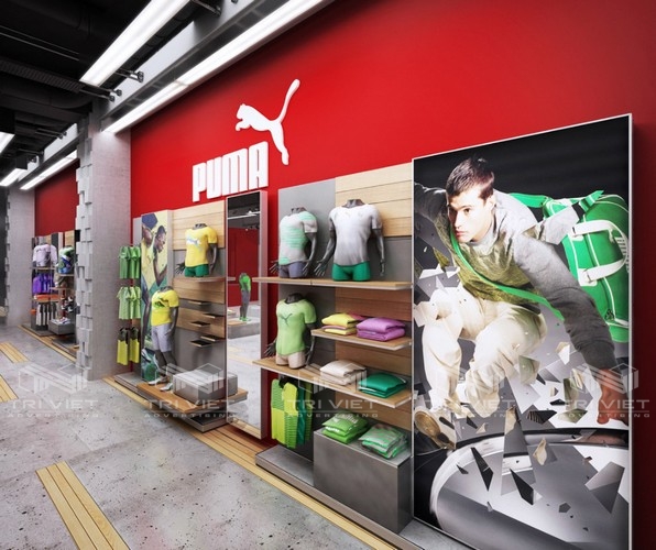 thiết kế nội thất showroom