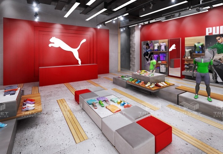 thiết kế showroom uy tín giá rẻ