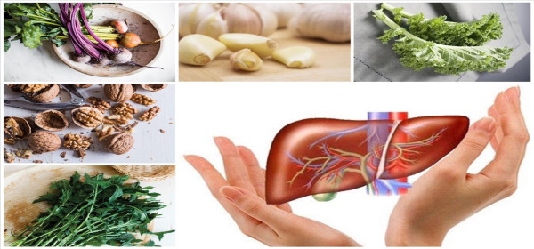 Những Loại Thực Phẩm Giúp Gan Khỏe Mạnh Và Hỗ Trợ Thải Độc