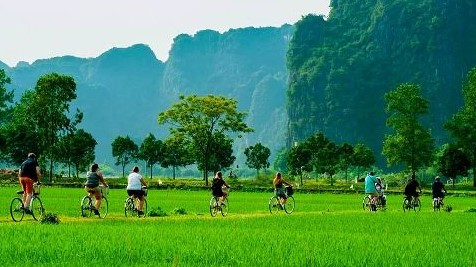 Du Lịch Xanh Việt Nam 2026: Những Điểm Đến Không Nên Bỏ Lỡ
