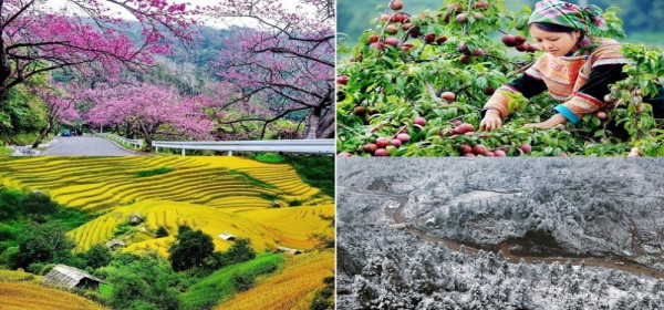 Địa Điểm Du Lịch Tại Việt Nam Được Yêu Thích Nhất Năm 2026